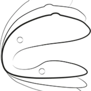 We-Vibe Chorus – Vibrator Smart cu Telecomanda, pentru Cupluri