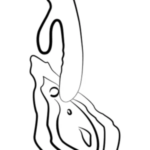 Romp Jazz – Vibrator Rabbit Waterproof, Stimulare Punctul G, Silicon Premium, 21 cm, Ø 3.6 CM