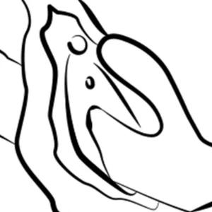 Romp Jazz – Vibrator Rabbit Waterproof, Stimulare Punctul G, Silicon Premium, 21 cm, Ø 3.6 CM