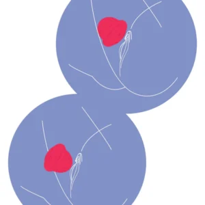 Xocoon Pearl Pulse Duo Stimulator - Stimulator Clitoris