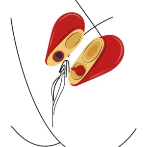 Heartbreaker 2-in-1 - Stimulator Clitoris