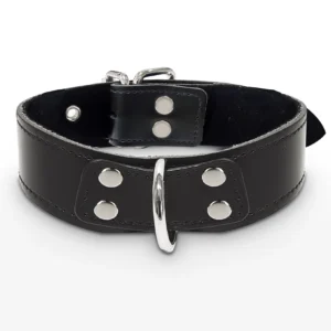 Elegant D-Ring Collar