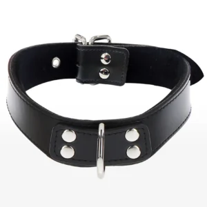 Elegant D-Ring Collar