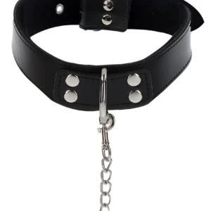 Elegant Collar and Chain Leash