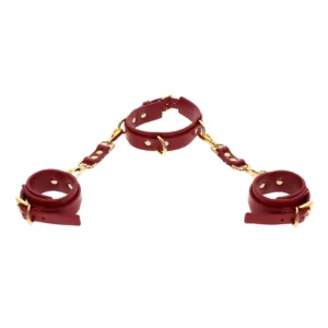 D-Ring Collar and Wrist Cuffs