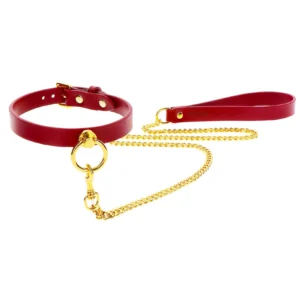 O-Ring Collar and Chain Leash