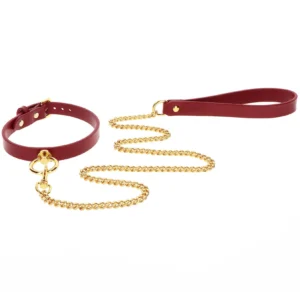O-Ring Collar and Chain Leash