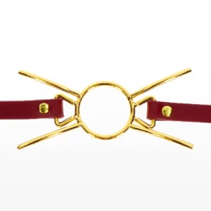 Open Mouth Spider Gag