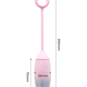 IY – Vibrating Egg with App Pink/Blue